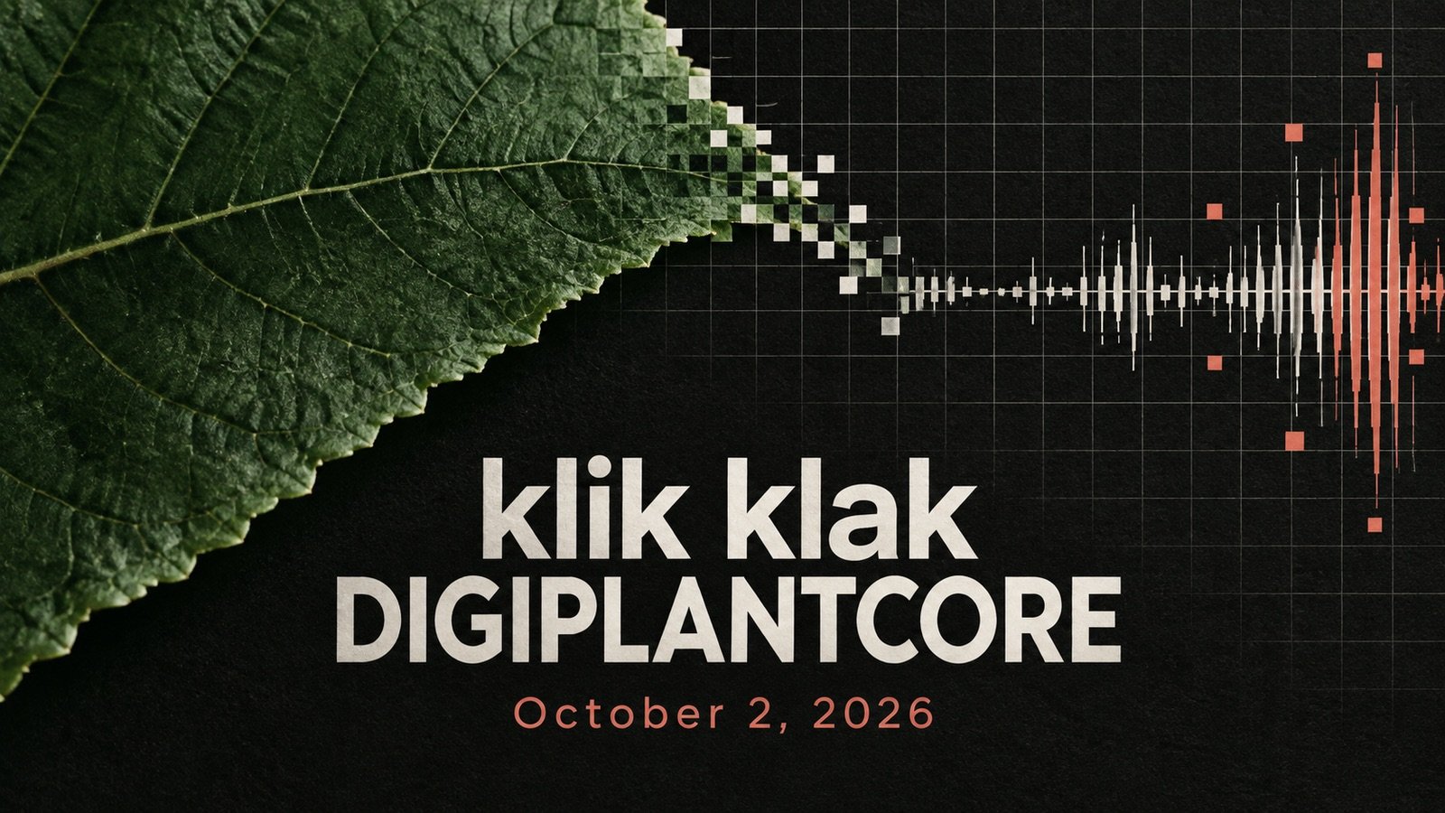 klik klak DIGIPLANTCORE album release night at 1983 in Riga.